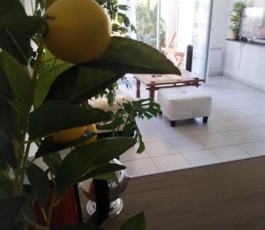 Poitiers Apartamento | A Poitiers, 2 chambres, très bel appartement de 65 m2