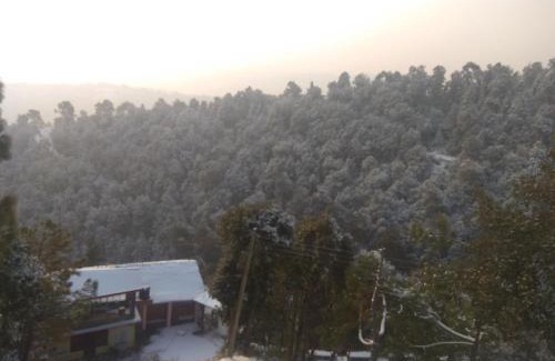 Shimla Casa | A.R . Homestay