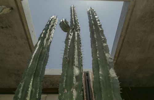 Puerto Escondido Casa | Un ambiente sofisticado en una playa virgen.