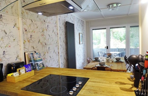 Llanfair Caereinion Cabina | A spacious modern lodge in scenic mid Wales