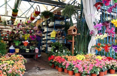 Xochimilco Casa | A visit to the cultural heritage, Xochimilco