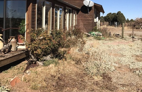 Lewis Otro | Un rancho de trabajo de alpaca cerca de Dolores