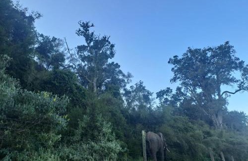 Nyandarua Casa | Aberdare white camp house kenya
