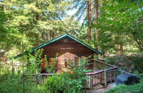 Guerneville Casa | Absolute Zen! Redwoods! BBQ Grill! Fast WiFi! Ping Pong! Dog Friendly!