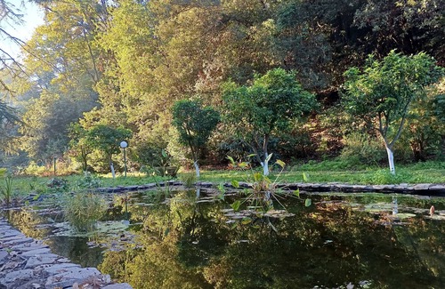 Tragliatella Apartamento | Accogliente Appartamento, Animali Ammessi, Vicino Roma, Bracciano, Ladispoli