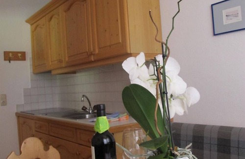 Maurach Apartamento | Achensee - Apartment Top Tirol