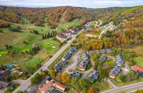 Ellicottville Casa | Across from Holiday Valley 2 King Beds AC