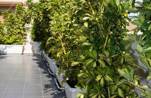 Donnalucata Casa | Aed Suite 5