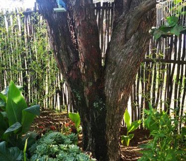 Fouriesburg Casa | Affi lande Boetiek guestfarm