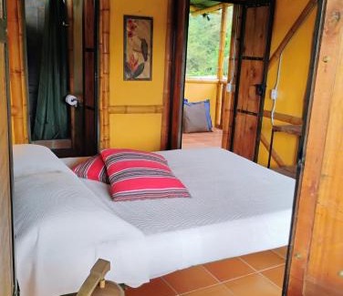 Cordoba Casa | Agüita con Limón Natural Health