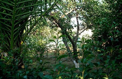 Kardamyla Apartamento | Agali Beach Pansion