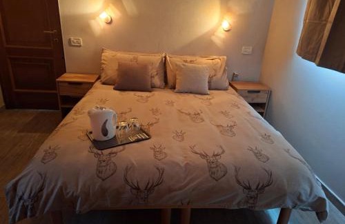 Domodossola Casa | Agli Chalet Bosco- parcheggio e colonnina ricarica auto elettrica con supplemento