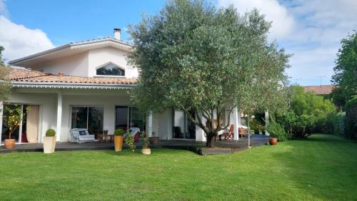 Andernos-les-Bains Cama Y Desayuno | Agréable Maison sur le Bassin d'Arcachon