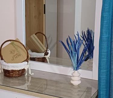 Lefkada Town Villa | Agrilia