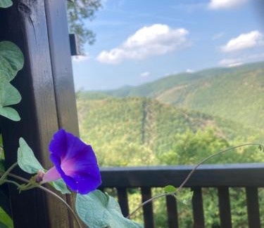 Serra San Quirico Casa | Agriturismo Becerca Vegan