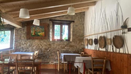 Serra San Quirico Casa | Agriturismo Becerca Vegan