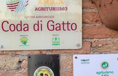 Passarella di Sotto Casa | Agriturismo coda di gatto