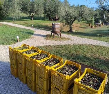Fano Apartamento | Agriturismo Frutti Antichi - Melograno