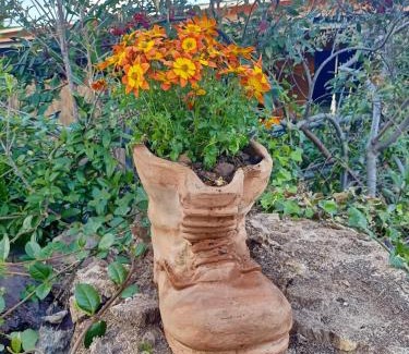 Rosignano Marittimo Casa | Agriturismo Il Cipresso