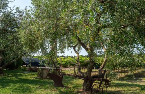 Affi Casa | Agriturismo Incaffi