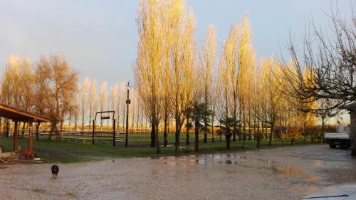 Francolino Casa | Agriturismo la Strozza