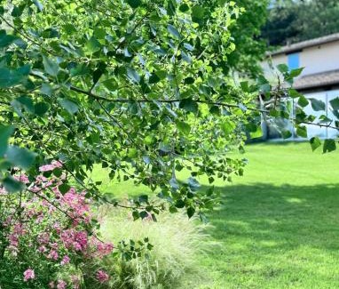 Fossombrone Casa | Agriturismo "Le Cannelle" spa & day wellness