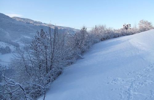 Tesero Casa | Agriturismo Maso Santa Libera