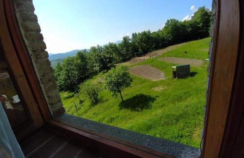 Villa Collemandina Apartamento | Agriturismo Paneolio