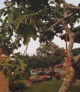 Casal Velino Casa | Agriturismo San Giorgio