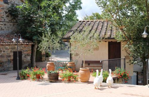 Radicofani Casa | Agriturismo Selvella