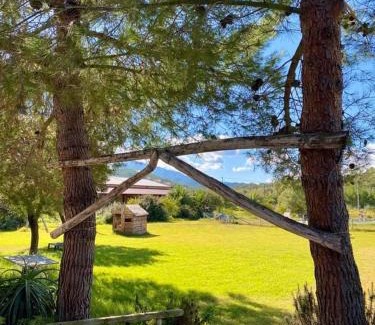 Uta Casa | Agriturismo Su Niu