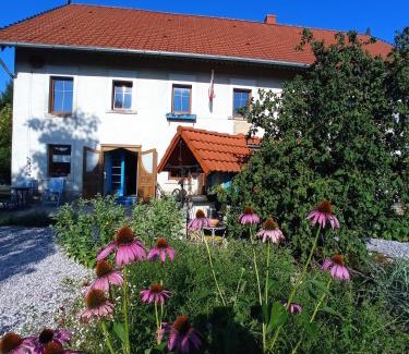 Sedziszowa Apartamento | Agroturystyka "Polna 17"