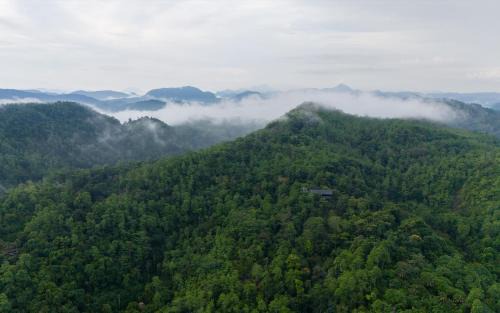 Ingiriya Complejo | AHAS GAWWA Eco Lodge