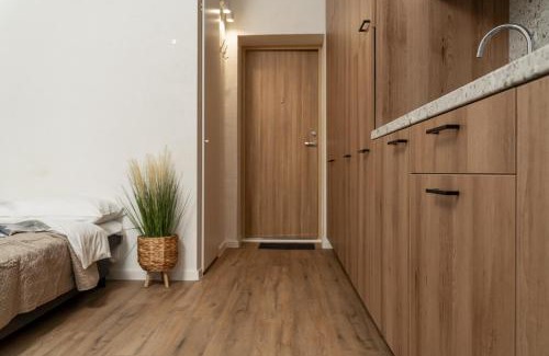 Vilnius Apartamento | Air Apartment 301