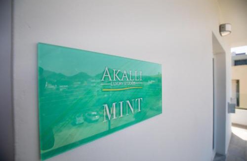 Ixia Apartamento | Akalli Studios