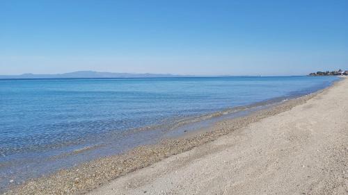 Polichrono Hotel | Akrogiali Exclusive Hotel (Adults Only)