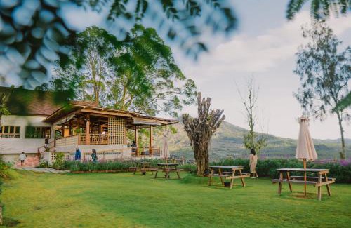 Kedisan Otro | Alam Caldera Camp & Resto