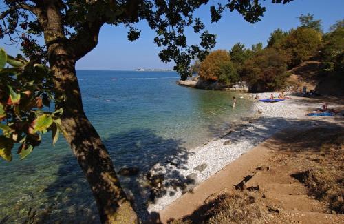 Lanterna Complejo | Albatross Mobile Homes on Valamar Camping Lanterna