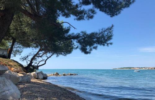 Lanterna Complejo | Albatross Mobile Homes on Valamar Camping Lanterna