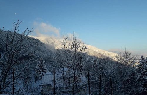 Roncoscaglia Hotel | Albergo Capriolo