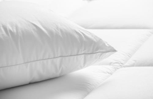 Albuquerque Hotel | Albuquerque Marriott Pyramid North