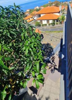 Ponta Delgada Villa | Alcantara Bell