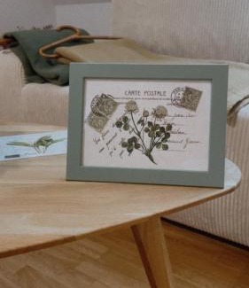 Bad Schallerbach Apartamento | All Homes Apartments