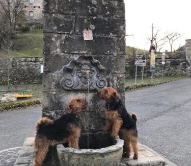 Calice al Cornoviglio Apartamento | All'ombra del Castello