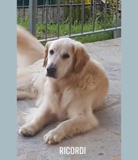 San Marcello Piteglio Cama Y Desayuno | Alla tana del bianconiglio