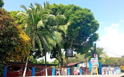 Puerto Jiménez Otro | Allalu Camping Corcovado