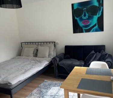 Kesklinn Apartamento | Ally's Urban Cozy Studio Juhkentali 42 Tallinn near city centre airport next to bus station