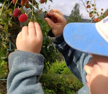 Guarne Casa | Alma Farm House