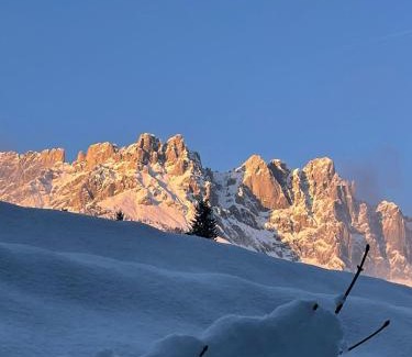 Going am Wilden Kaiser Apartamento | Almchalet Weberhof