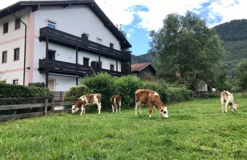 Rottau Apartamento | Almglück
